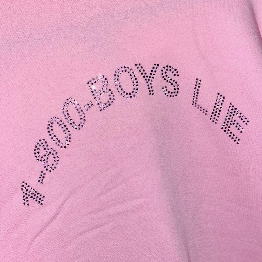 boys lie pink 1-800-boys-lie hoodie